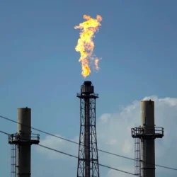 oil